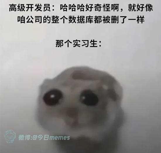 via 7号沙雕网友