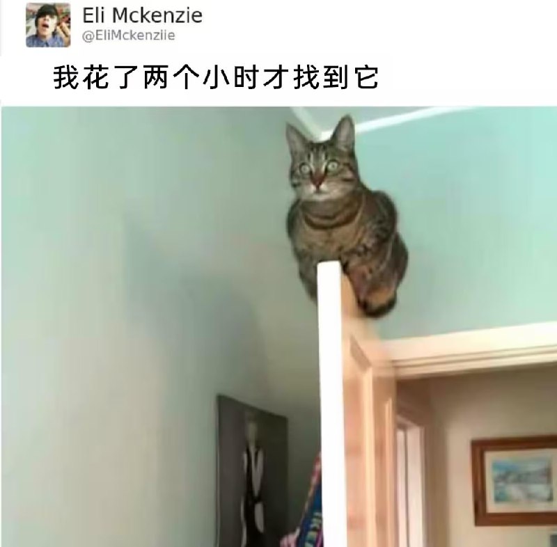 via 7号沙雕网友