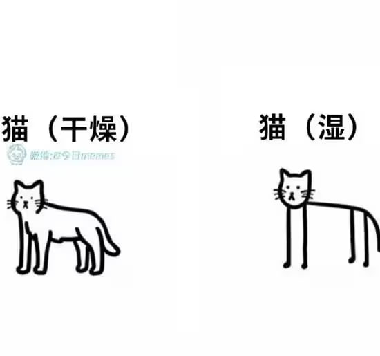 via 7号沙雕网友