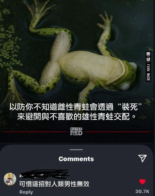 from 什麼都來點 via DECADE