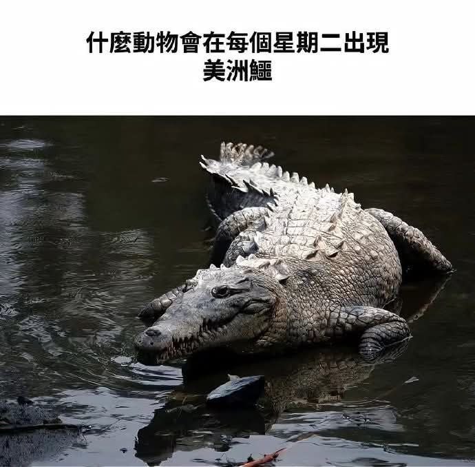 🥶from 什麼都來點 via DECADE