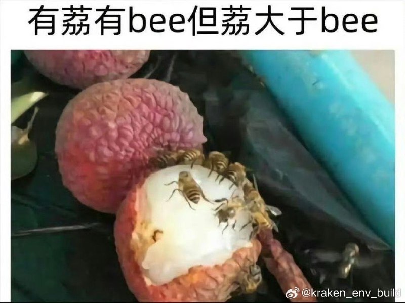 from 漠伦