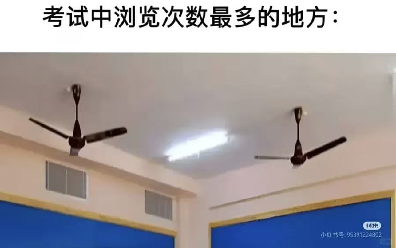 via 8号沙雕网友