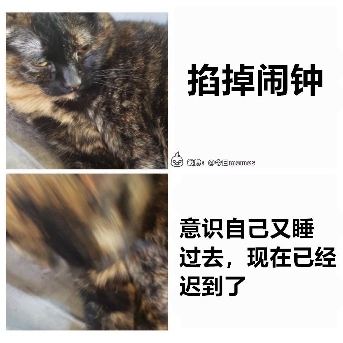 via DECADE
