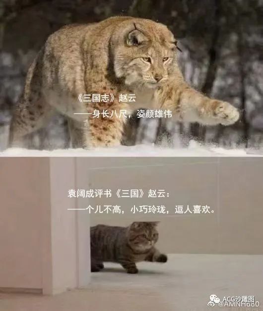 via m yyfrom 心惊报