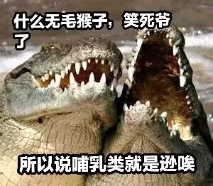 战败捕获捆绑playvia efsg战败捕获捆绑playvia efsg