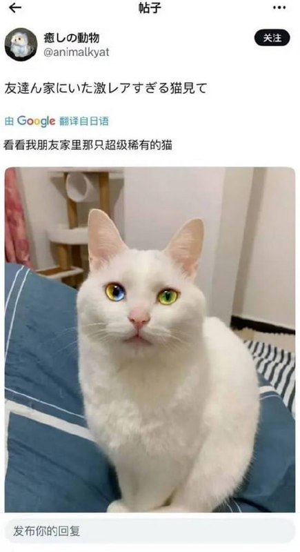 via 7号沙雕网友