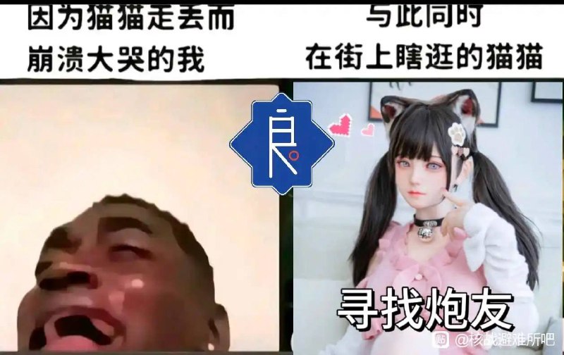 via 犯罪嫌疑人张某