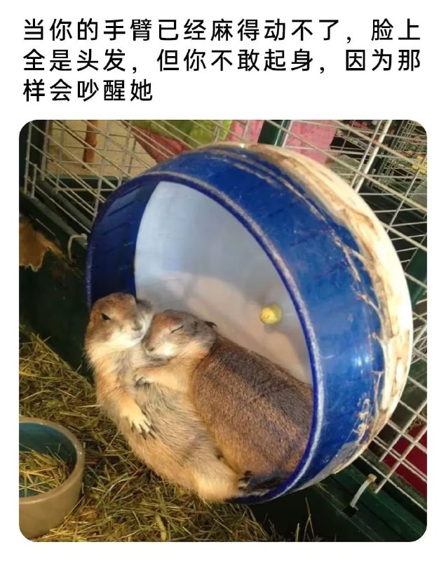 via 6号沙雕网友