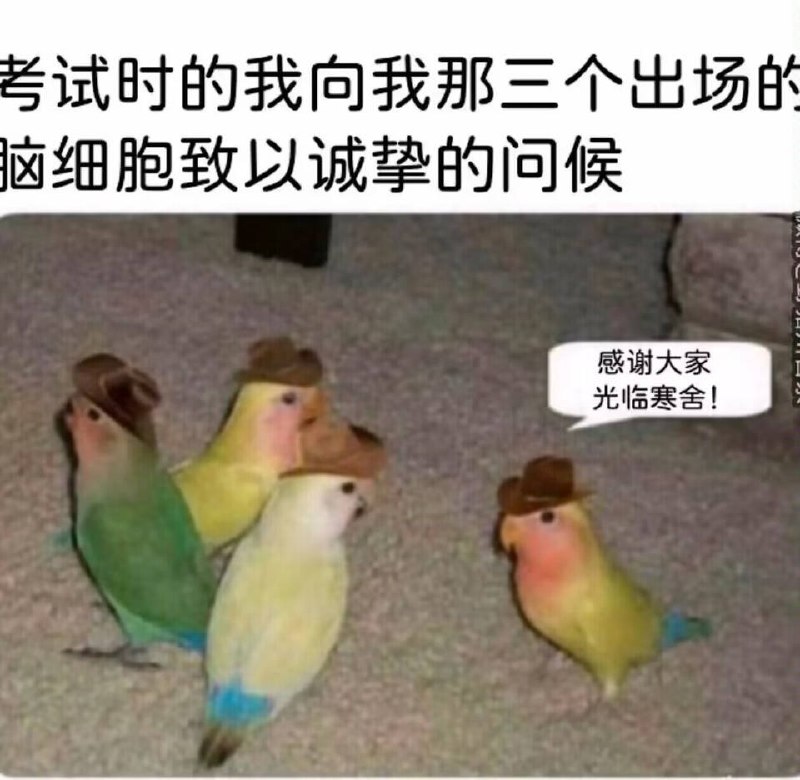 via sakana