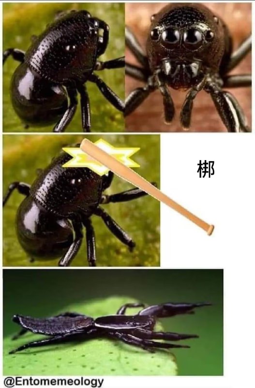 via 6号沙雕网友