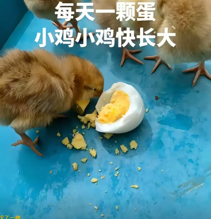 via Mr.Yan