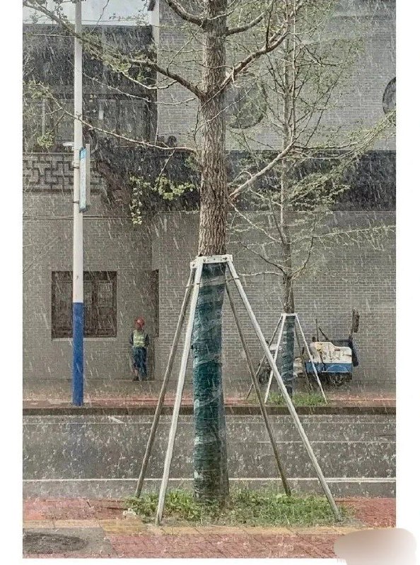 via Meng Xinvia Meng Xin