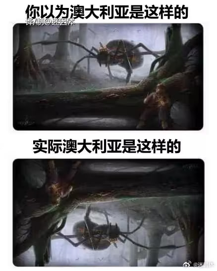 via 6号沙雕网友