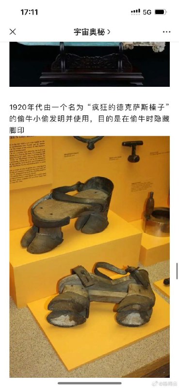 噢，上帝啊，看看这是谁，你这个坏家伙！我发誓我一定要拿我的靴子，狠狠踢爆你的屁股！from ㅤ