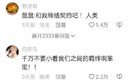 这是在和土拨鼠签订契约吗这是在和土拨鼠签订契约吗