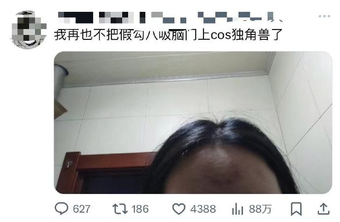 独角兽的悲哀