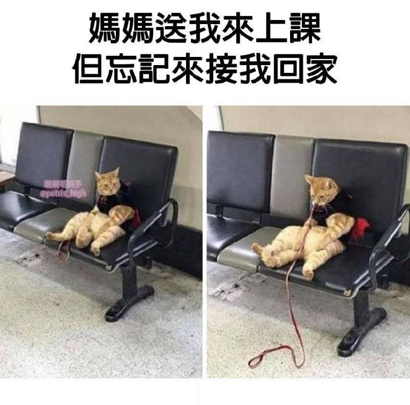 from 什麼都來點 via DECADE