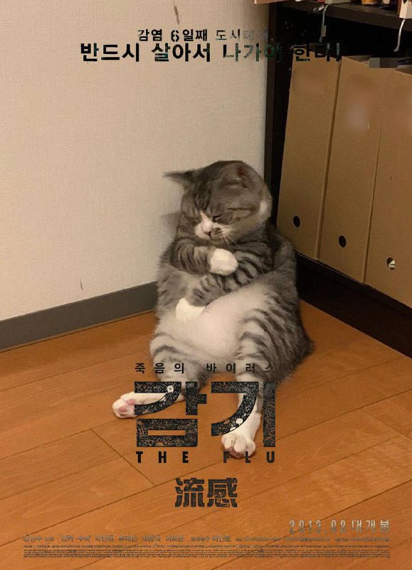 猫星大电影 #海报🐱👀 via豆瓣猫星大电影 #海报🐱👀 via豆瓣