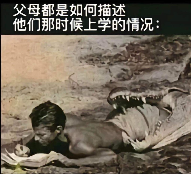 from 什麼都來點 via DECADE
