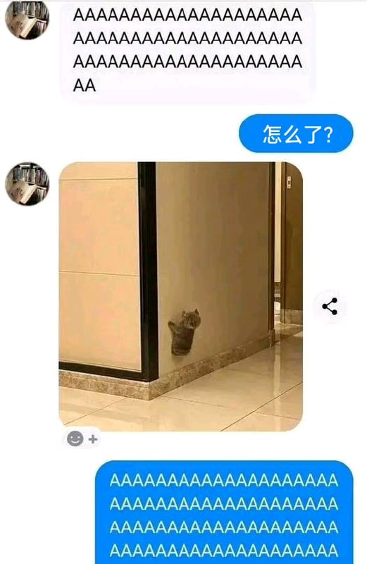 猫猫meme整合from 猫猫窝🐈🐈‍⬛️猫猫meme整合from 猫猫窝🐈🐈‍⬛️