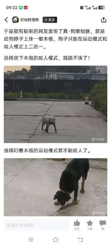 开启了合作模式🌚from 平壤卫视开启了合作模式🌚from 平壤卫视