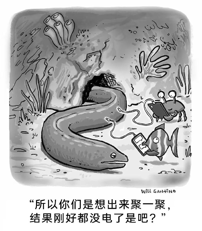 via 7号沙雕网友