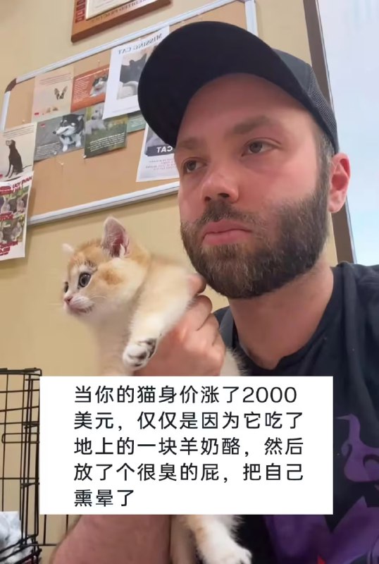 via 7号沙雕网友