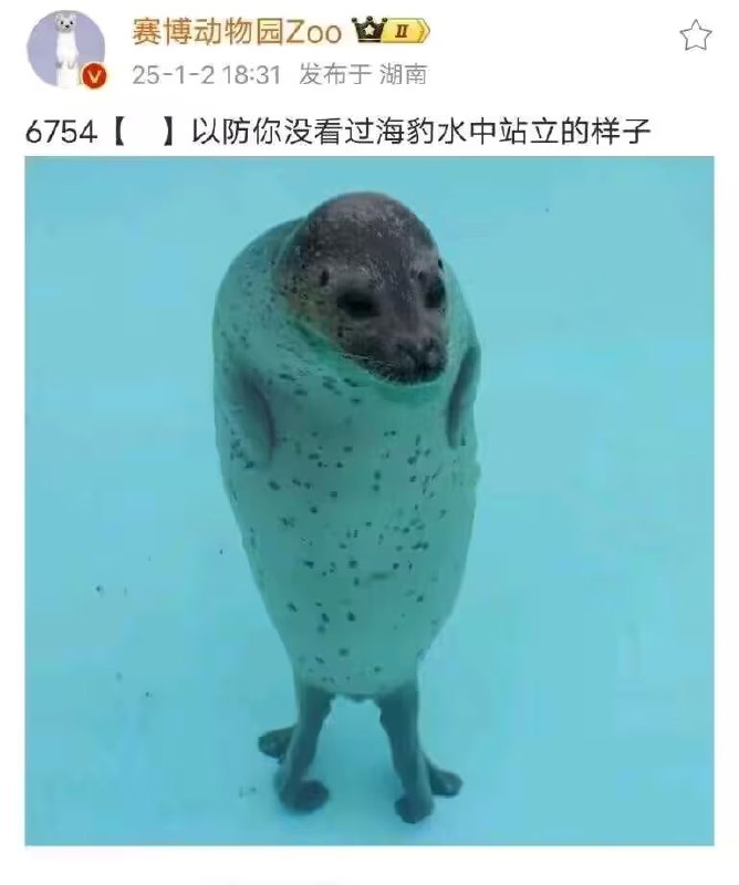 via 7号沙雕网友