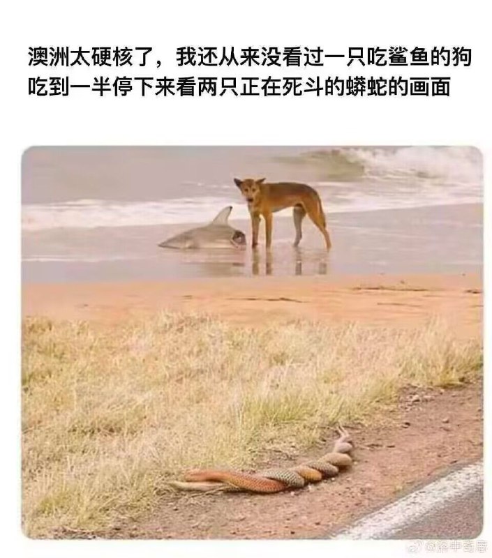 from 什麼都來點 via DECADE