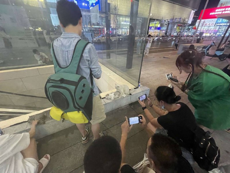 #野战 #露出 #兽交 #兽耳 #视奸from efsg的空间 via efsg