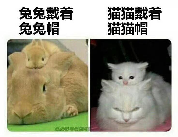 via my nbkls