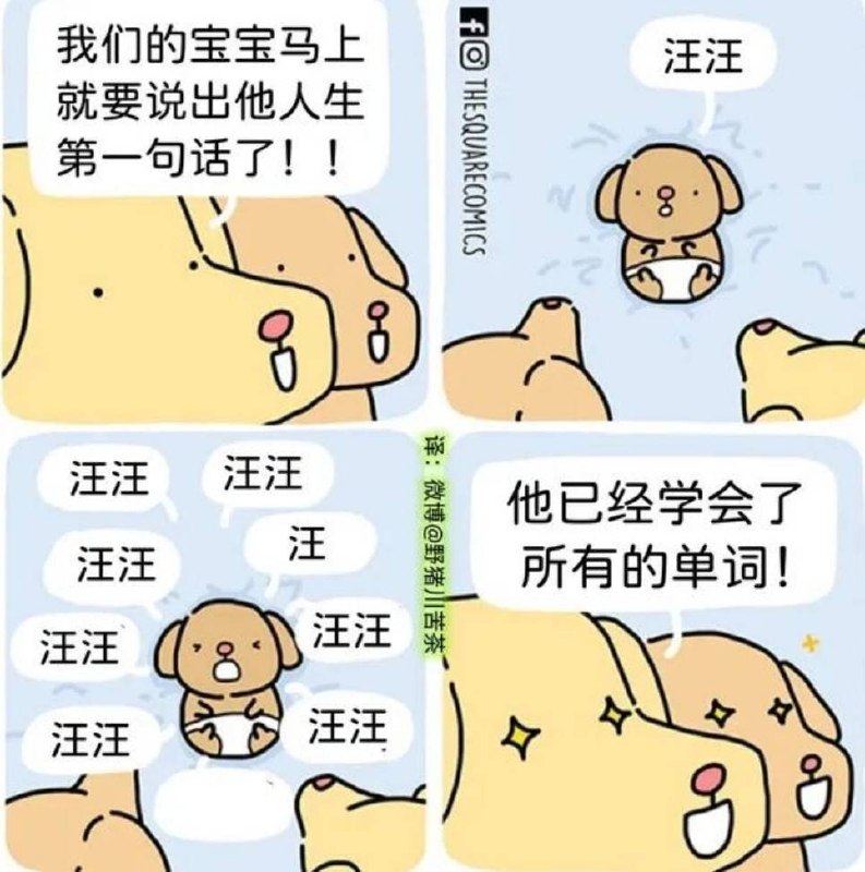 via 8号沙雕网友