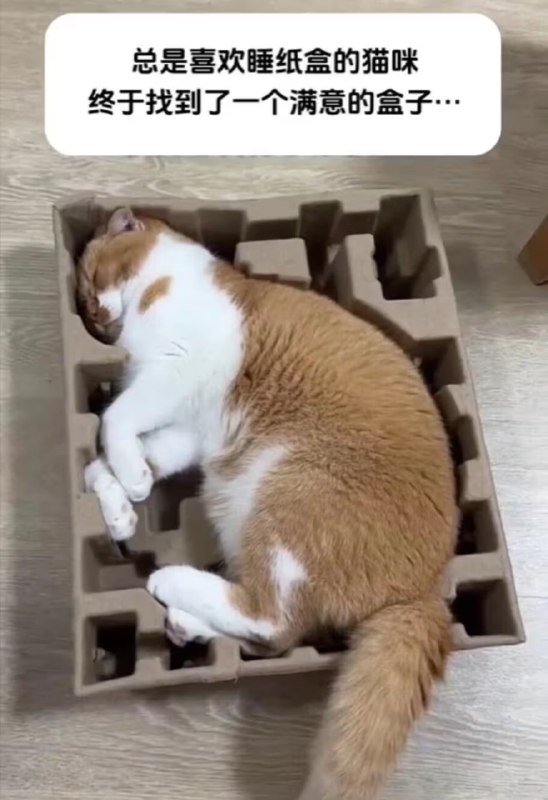 via 7号沙雕网友