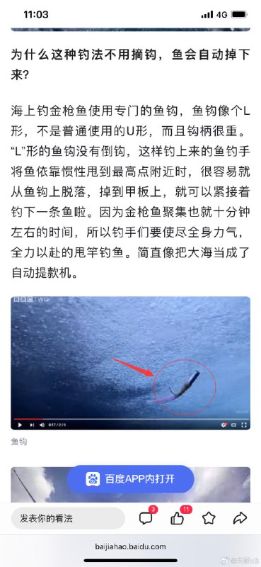 2023年，马尔代夫渔民依然在用最传统的方式工作——渔民将微小的鱼饵撒在海面上，然后每人手持一根鱼竿，使用鱼钩将金枪鱼一条一条钓起来 #传统手艺2023年，马尔代夫渔民依然在用最传统的方式工作——渔民将微小的鱼饵撒在海面上，然后每人手持一根鱼竿，使用鱼钩将金枪鱼一条一条钓起来 #传统手艺