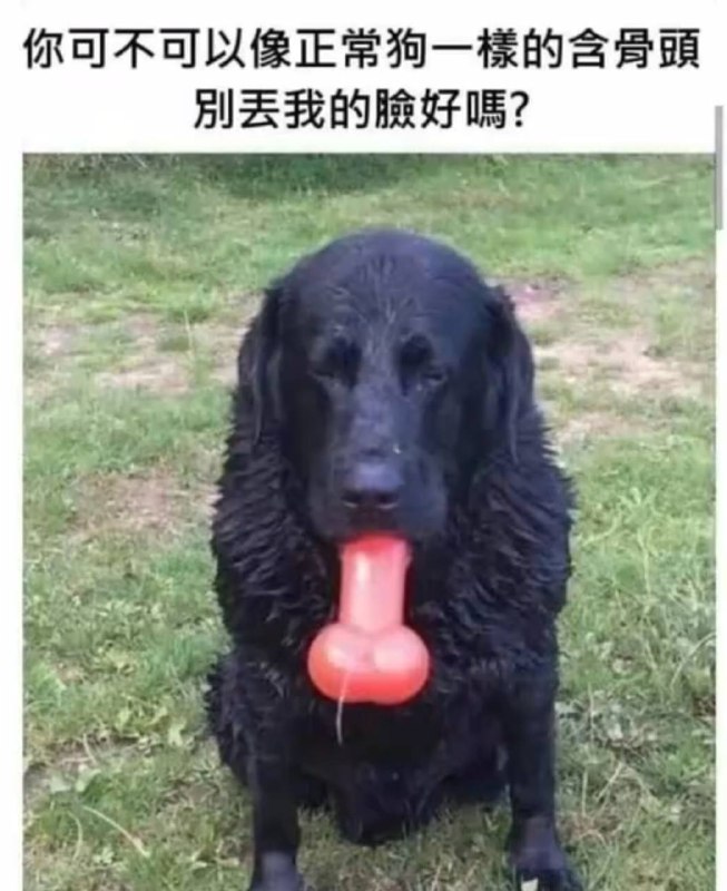 via 犯罪嫌疑人张某
