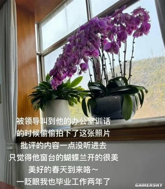 via 7号沙雕网友