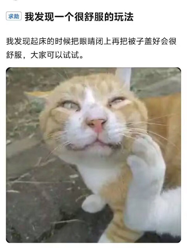 via Meng Xin