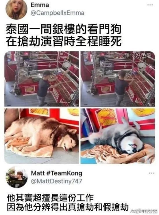 via 每天只睡23h
