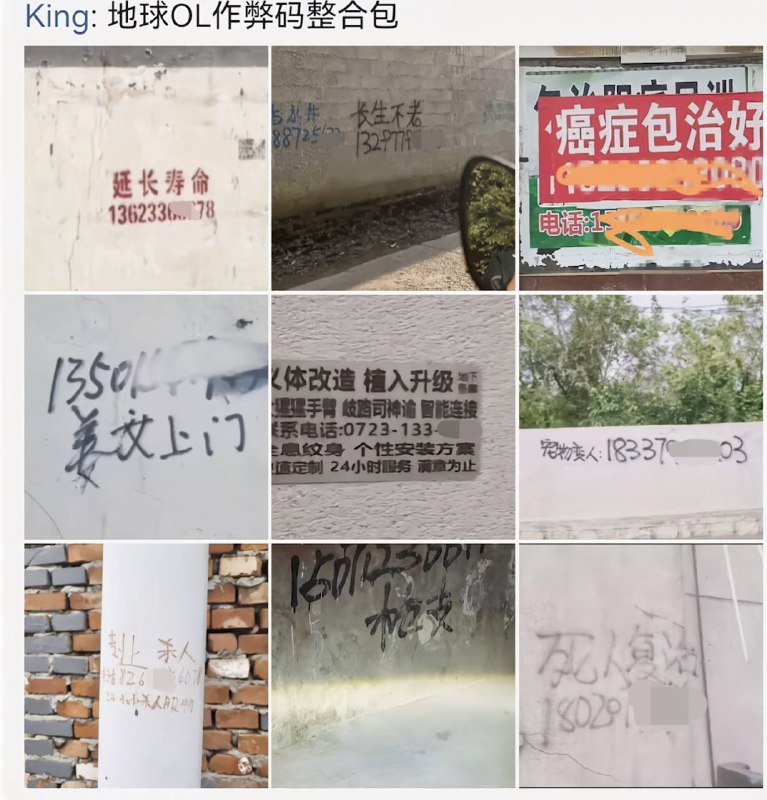 via 犯罪嫌疑人张某