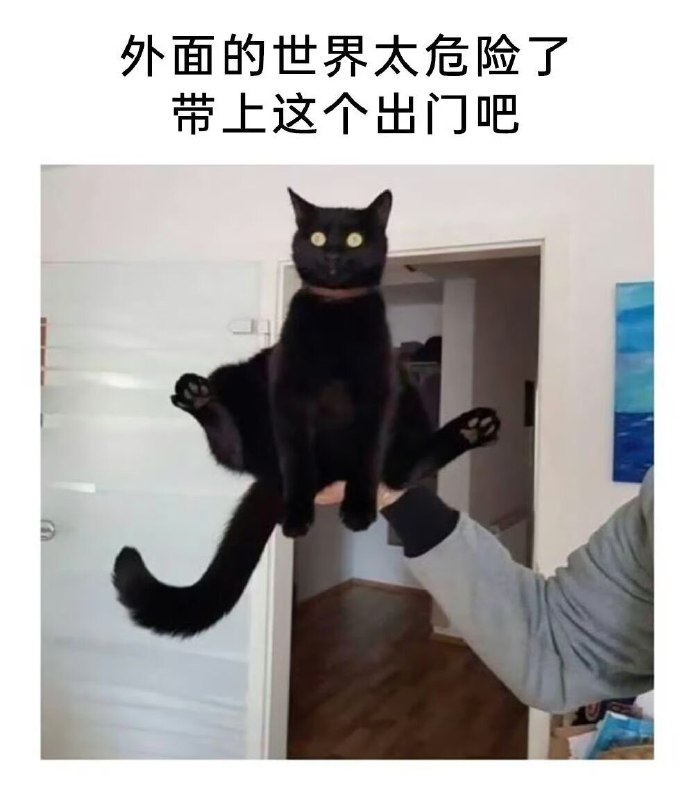 via CDS 12138