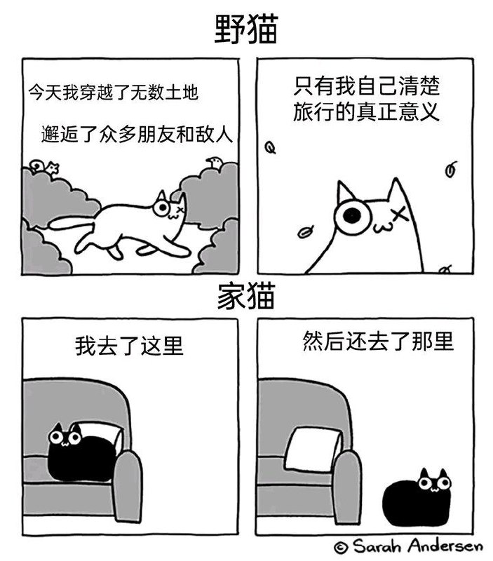 via 喵