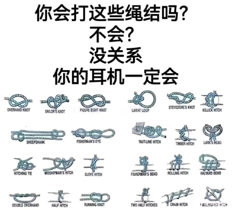 via 喵