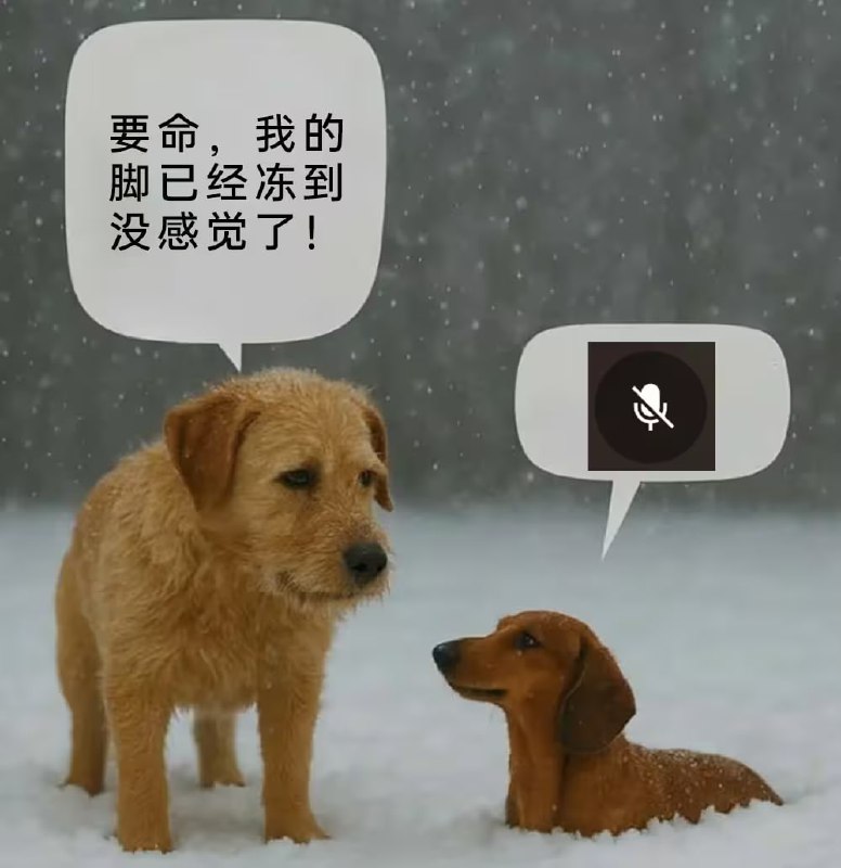 via 8号沙雕网友