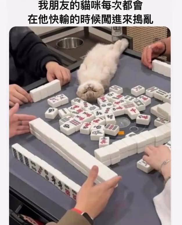 from 什麼都來點 via DECADE