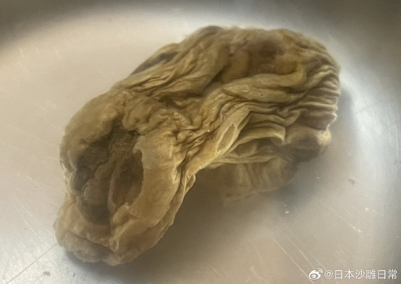 岛国网友发推表示，从冰箱蔬菜室里翻出了一块蜜汁物体