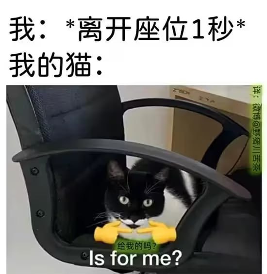 via 6号沙雕网友