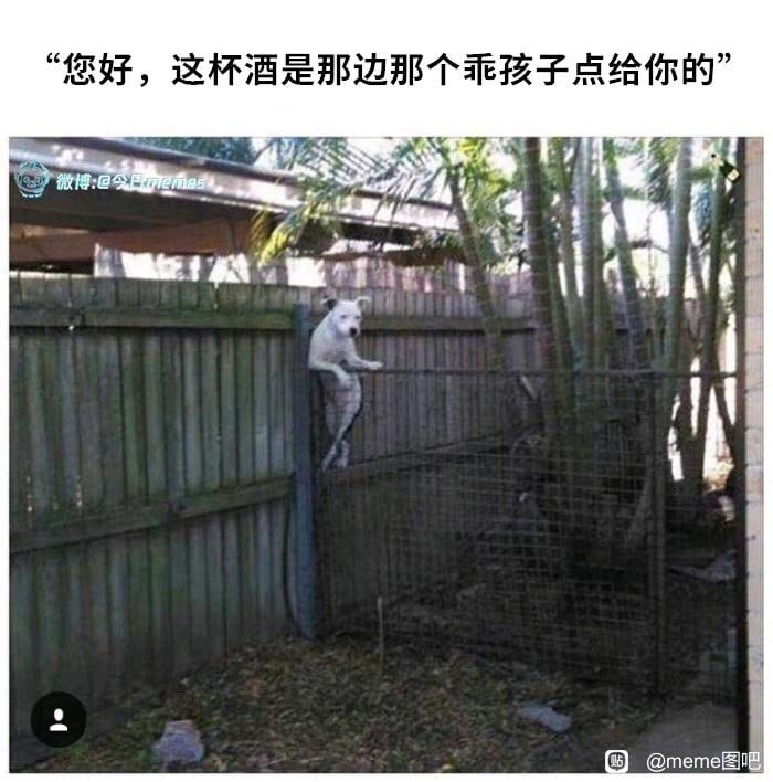 【meme宝箱】您获得的meme数量是...from TG空间🐱【meme宝箱】您获得的meme数量是...from TG空间🐱