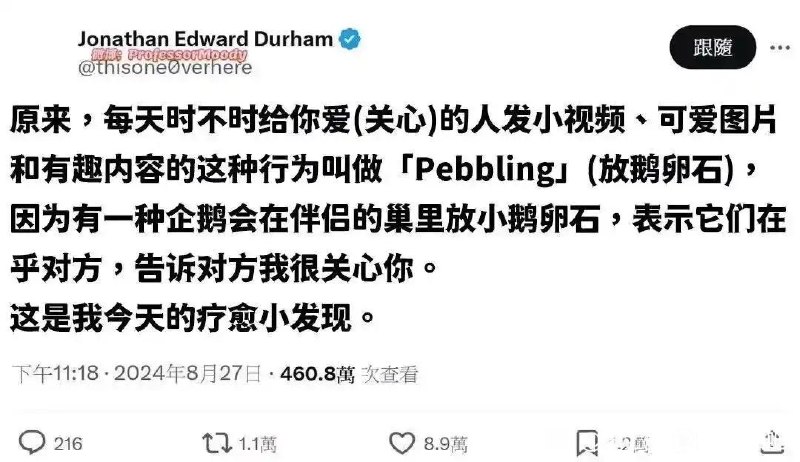 via 8号沙雕网友via 8号沙雕网友
