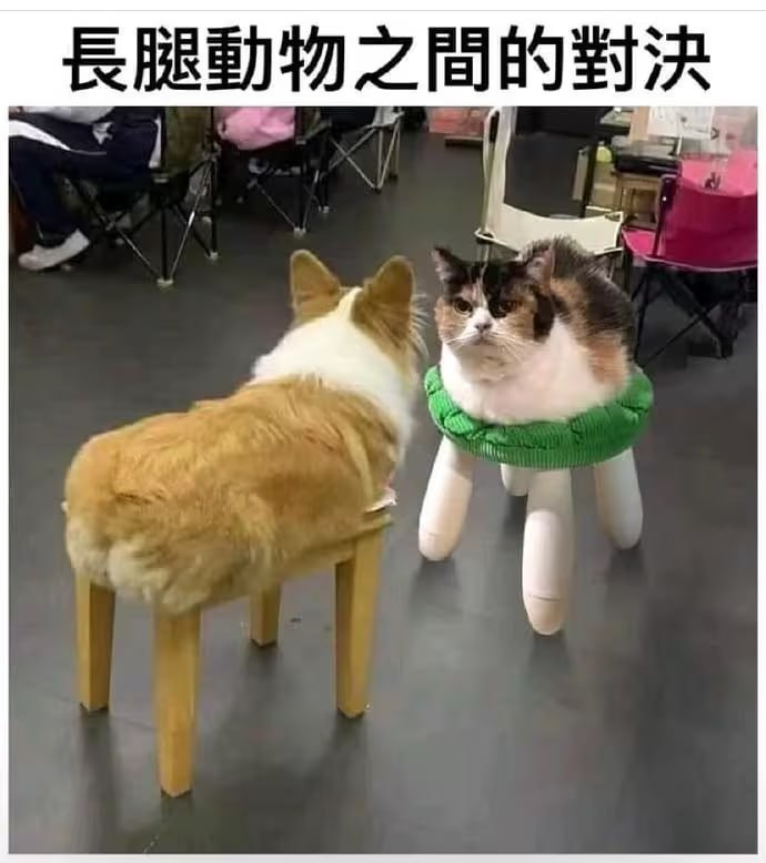 via 7号沙雕网友